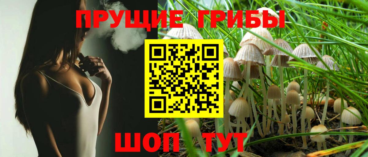 Галлюциногенные грибы Magic Shrooms  Вход с VPN  Боровичи 
